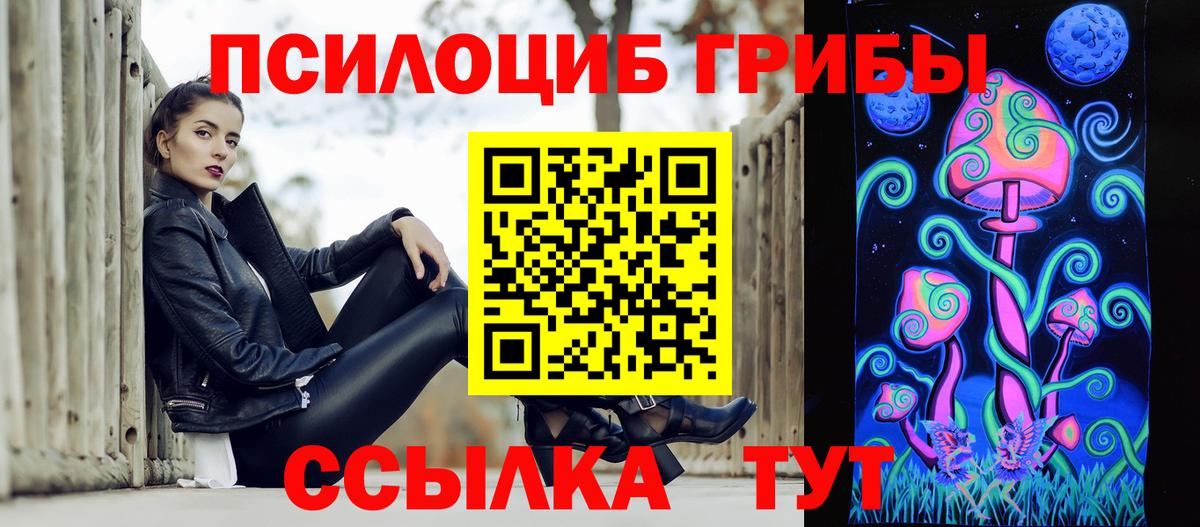 Галлюциногенные грибы Psilocybine cubensis Пушкино