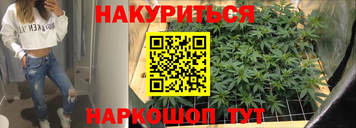 Марихуана Bruce Banner  Вход с VPN  Марихуана планчик  Бошки марихуана THC 21%  Пушкино 